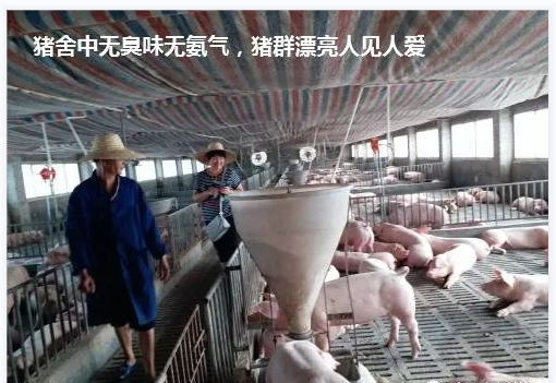 QQ截图20230418155552.png
