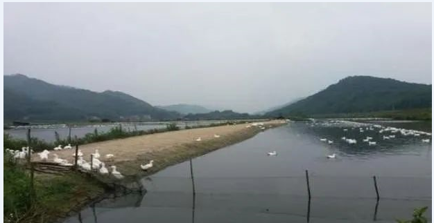 QQ截图20230418160753.png