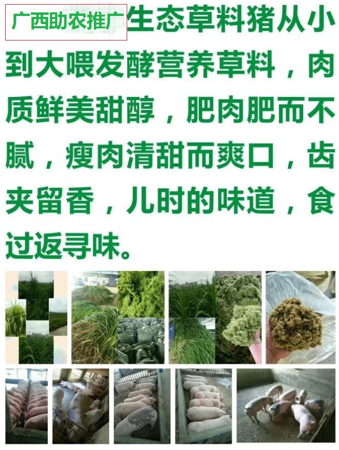 微信图片_20230506153946.jpg