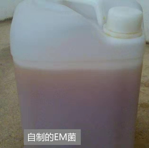 微信图片_20230519153934.jpg