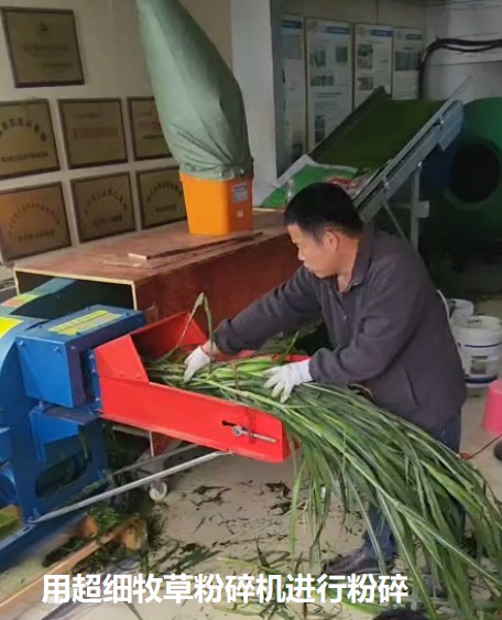 用超细牧草粉碎机进行粉碎.jpg