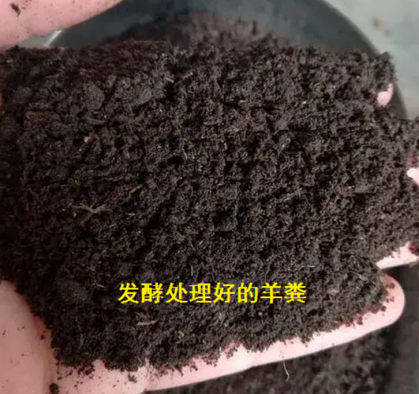 QQ截图20230530112855.png