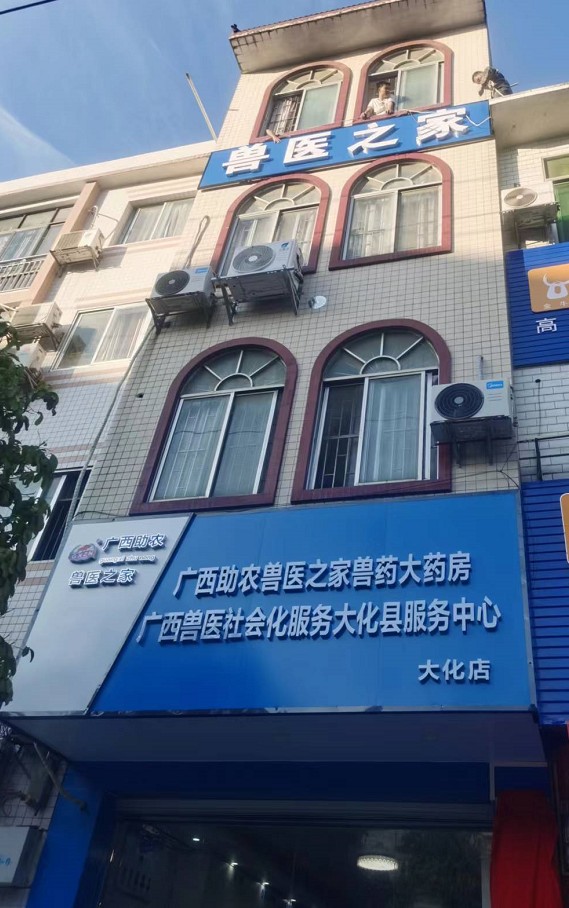 广西助农公司大化县分公司1.jpg