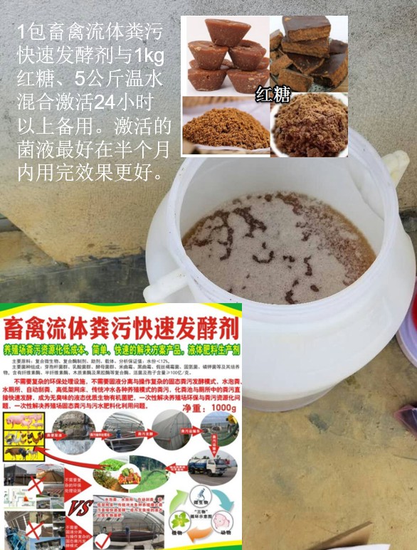 畜禽流体粪污快速发酵剂菌种激活.jpg