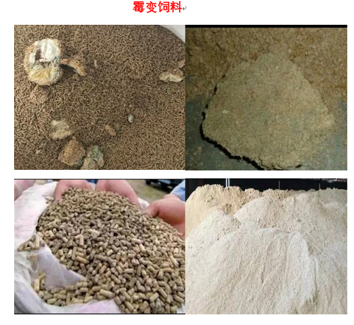 微信图片_20230822101958.png