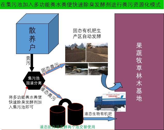 在集污池加入多功能粪水粪便快速除臭发酵剂进行粪污资源化模式1.jpg