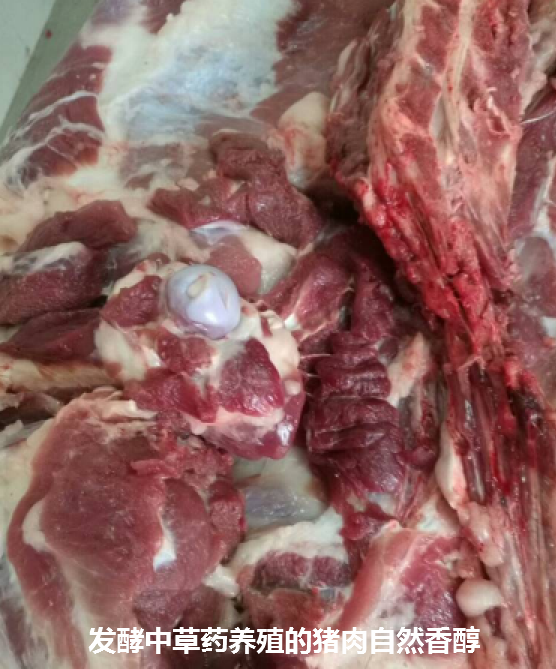 发酵中草药猪肉1.png