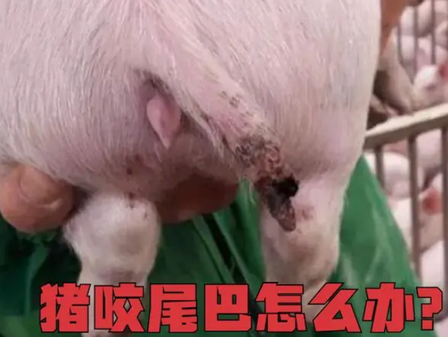 微信图片_20231012154005.png