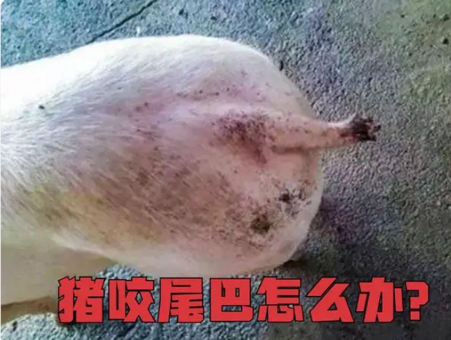 微信图片_20231012154019.png