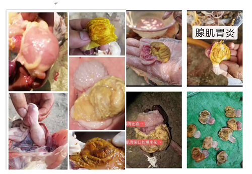 微信图片_20231016153742.png
