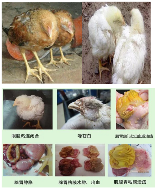 微信图片_20231016154025.png