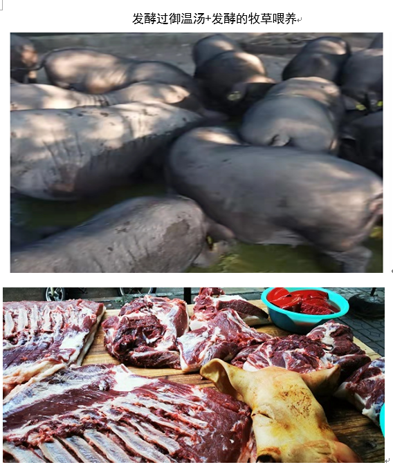 微信图片_20231016115415.png