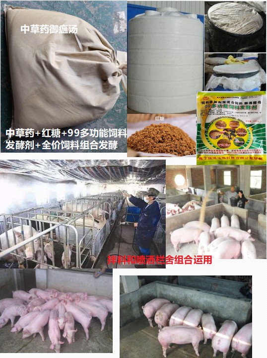 自制中草药体内外运用防控非洲猪瘟.jpg