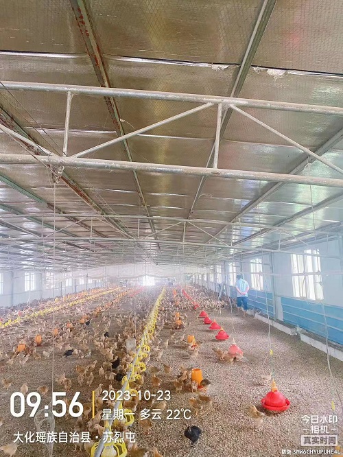 微信图片_20231031093913.jpg
