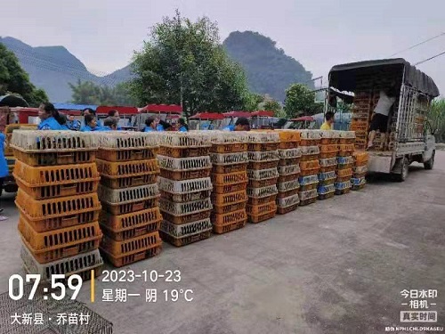 微信图片_20231031093900.jpg