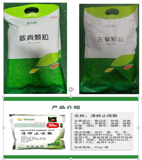 版庆.png