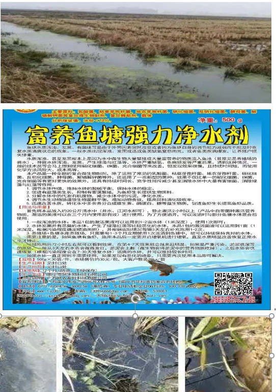 富养鱼塘.png