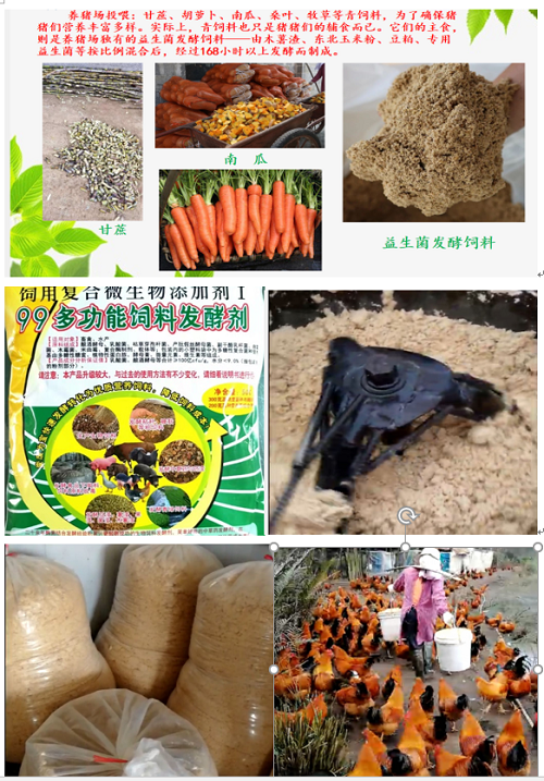 QQ图片20230721102658.png