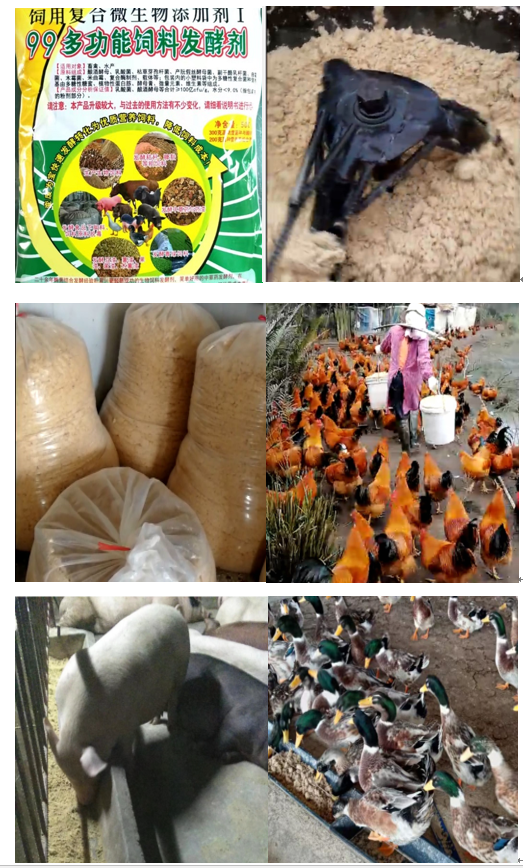 QQ图片20230721101240.png
