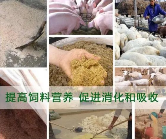 QQ图片20240304153701.png