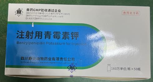 微信截图_20241017112436.jpg
