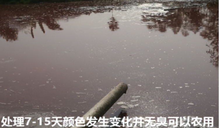 微信截图_20241209100548.jpg