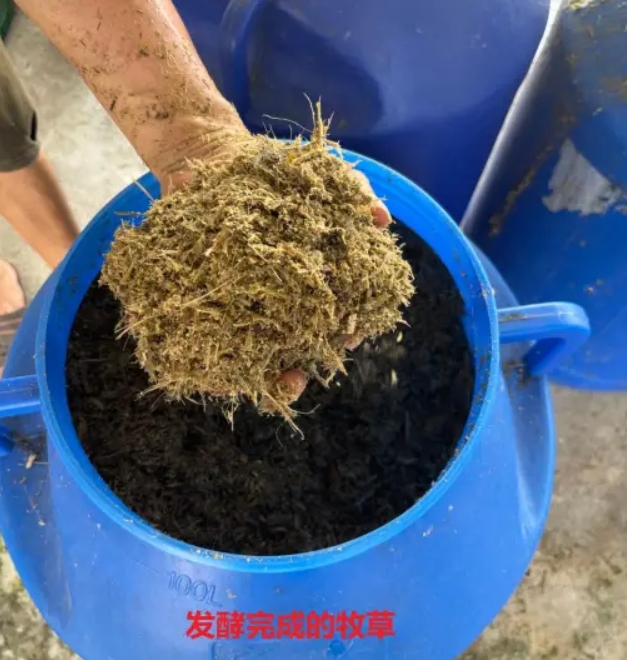 微信截图_20241210104527.jpg