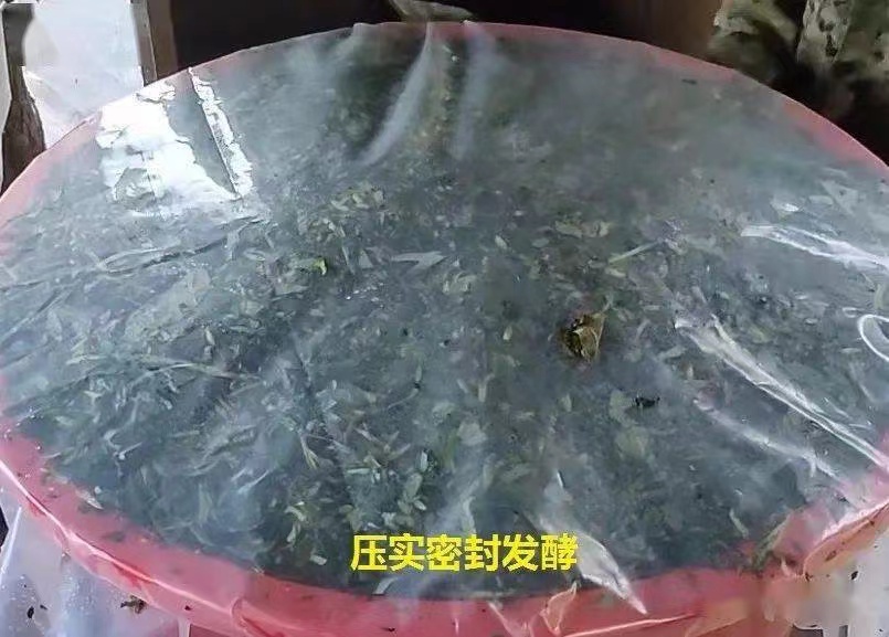 微信图片_20250224100958.jpg