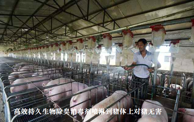 QQ图片20250221154259.png