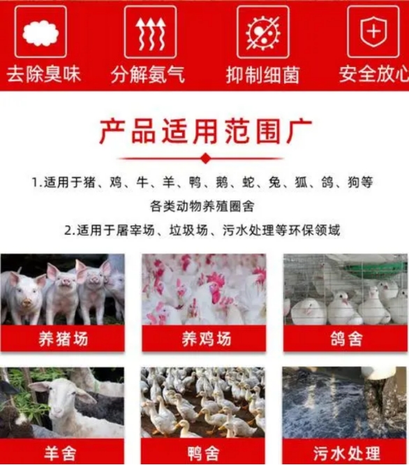 微信截图_20250226101859.jpg