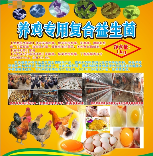 微信截图_20250313094149.jpg