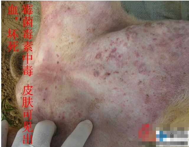 微信截图_20250319110831.png