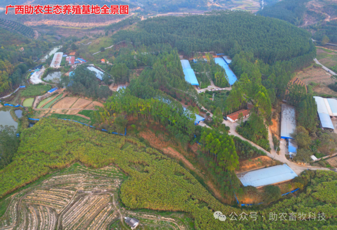 基地图2.png