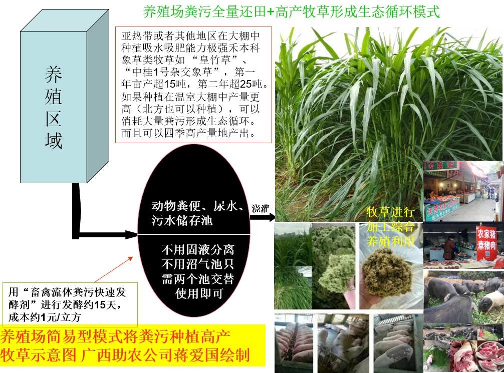 养殖场粪污全量还田+高产牧草形成生态循环模式.jpg