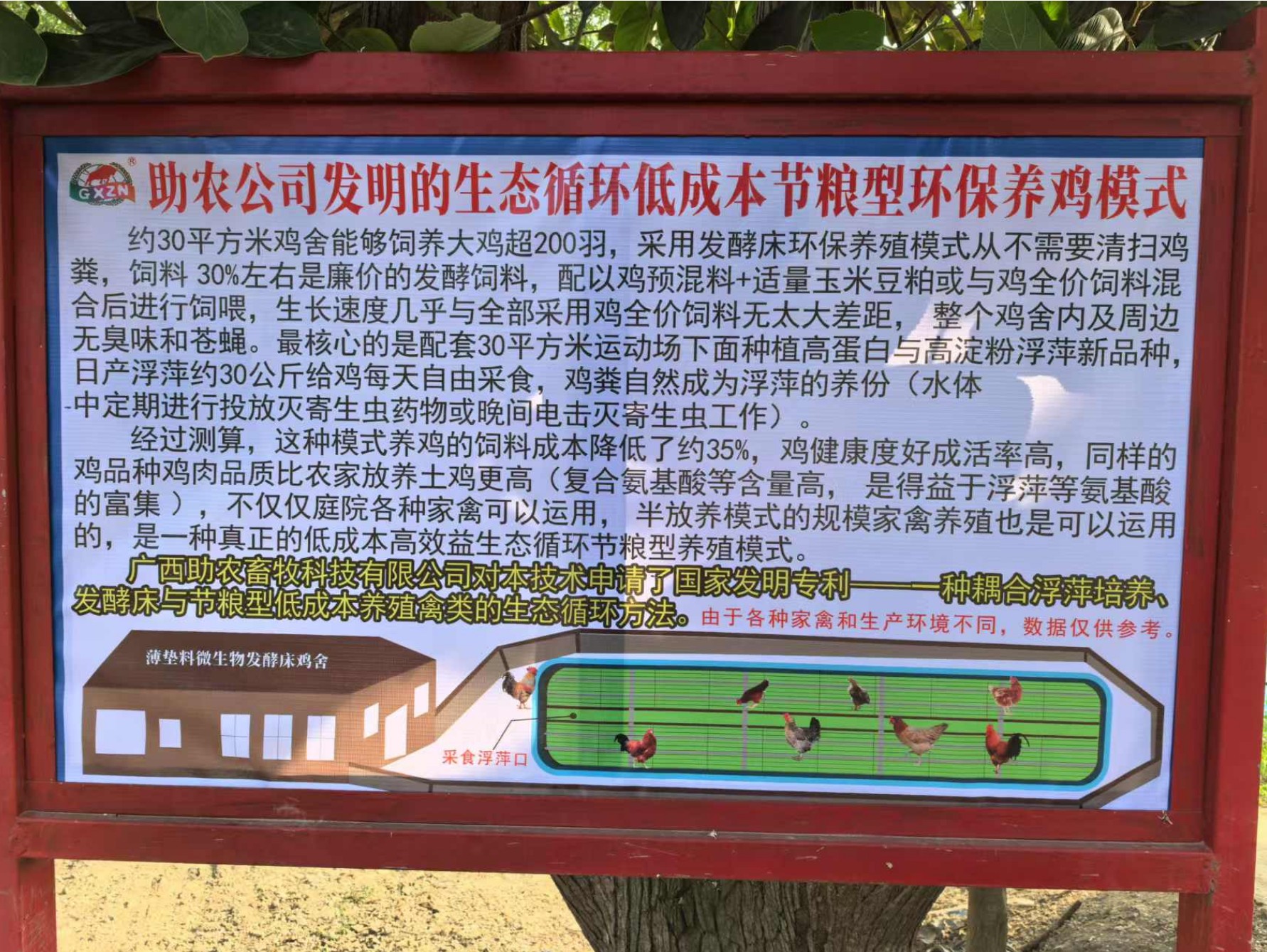 一种耦合浮萍培养、发酵床与节粮型低成本养殖禽类的生态循环方法.jpg