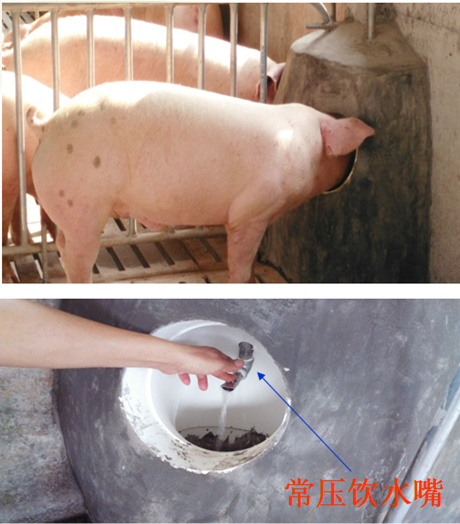 嵌墙式饮水器1.png