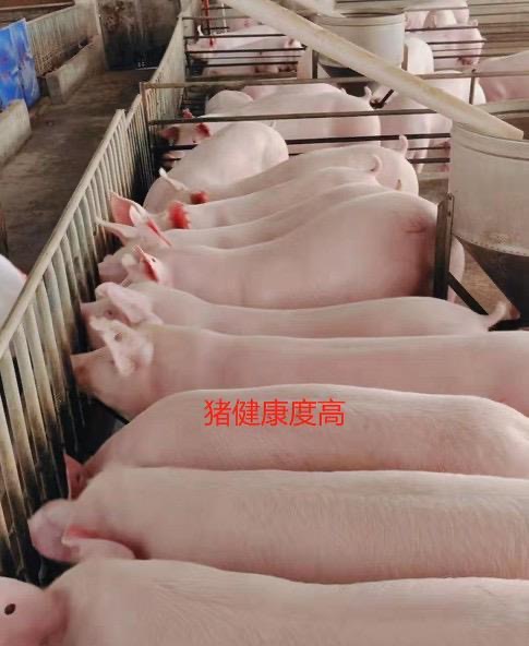微信图片_20250418110651.jpg