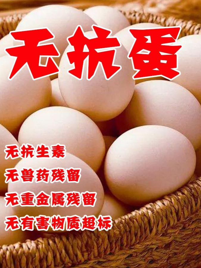 微信图片_20250422154315.jpg