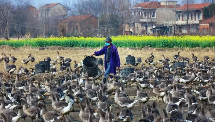 QQ图片20230303123437.png