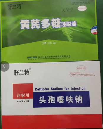 黄芪多糖+头孢（高热）.png