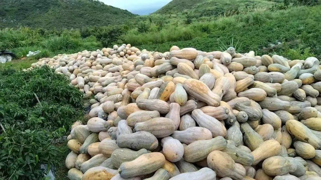 微信图片_20250528090037.jpg