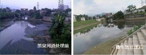 黑臭河沟治理前后1.jpg