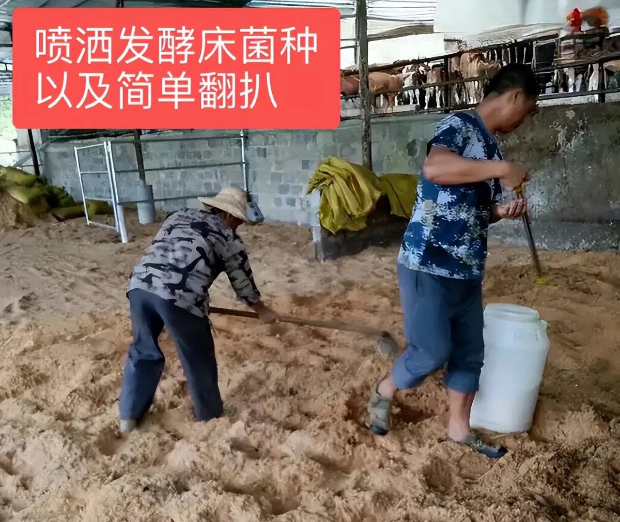 QQ图片20250606160021.jpg