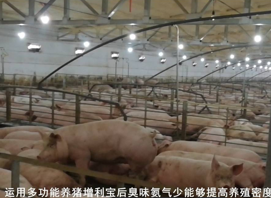 截图20250611094833.png
