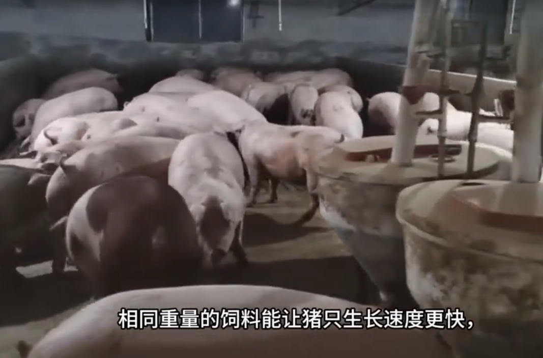 截图20250611095126.png