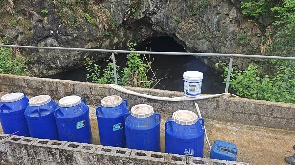 菌液发酵2.jpg