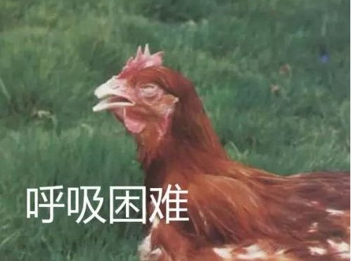 QQ图片20250630094016.png