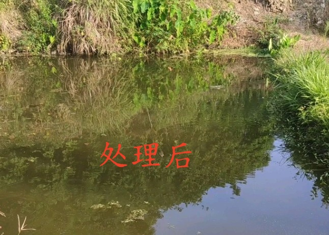 图片8.png