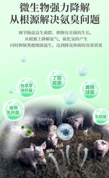 微信截图_20250716100411.jpg