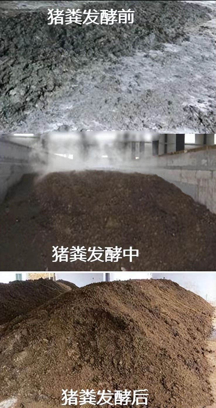 微信图片_20250716100552.jpg